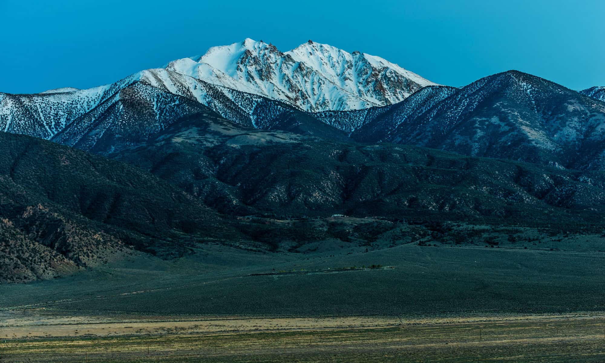 Discover The Highest Point In Nevada A Z Animals