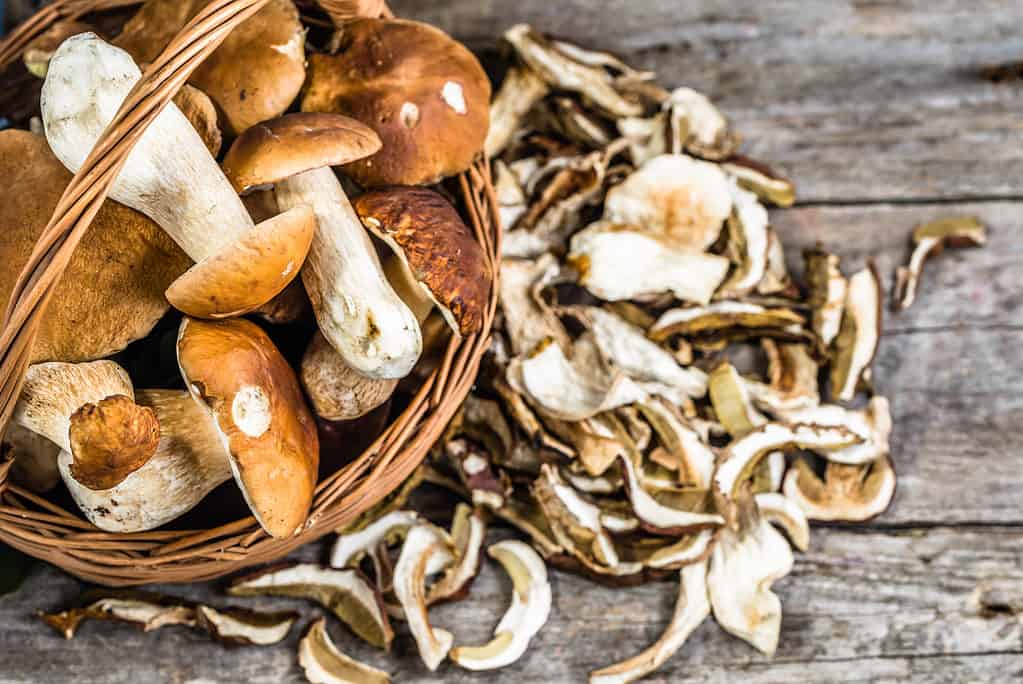 Dried and fresh bolete mushrooms in a basket