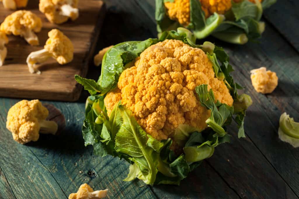 Raw Organic Orange Cauliflower with Green Leaves