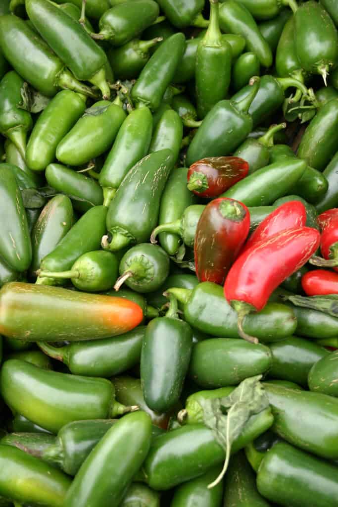 A pile of jalapeno peppers with other hot peppers tossed in