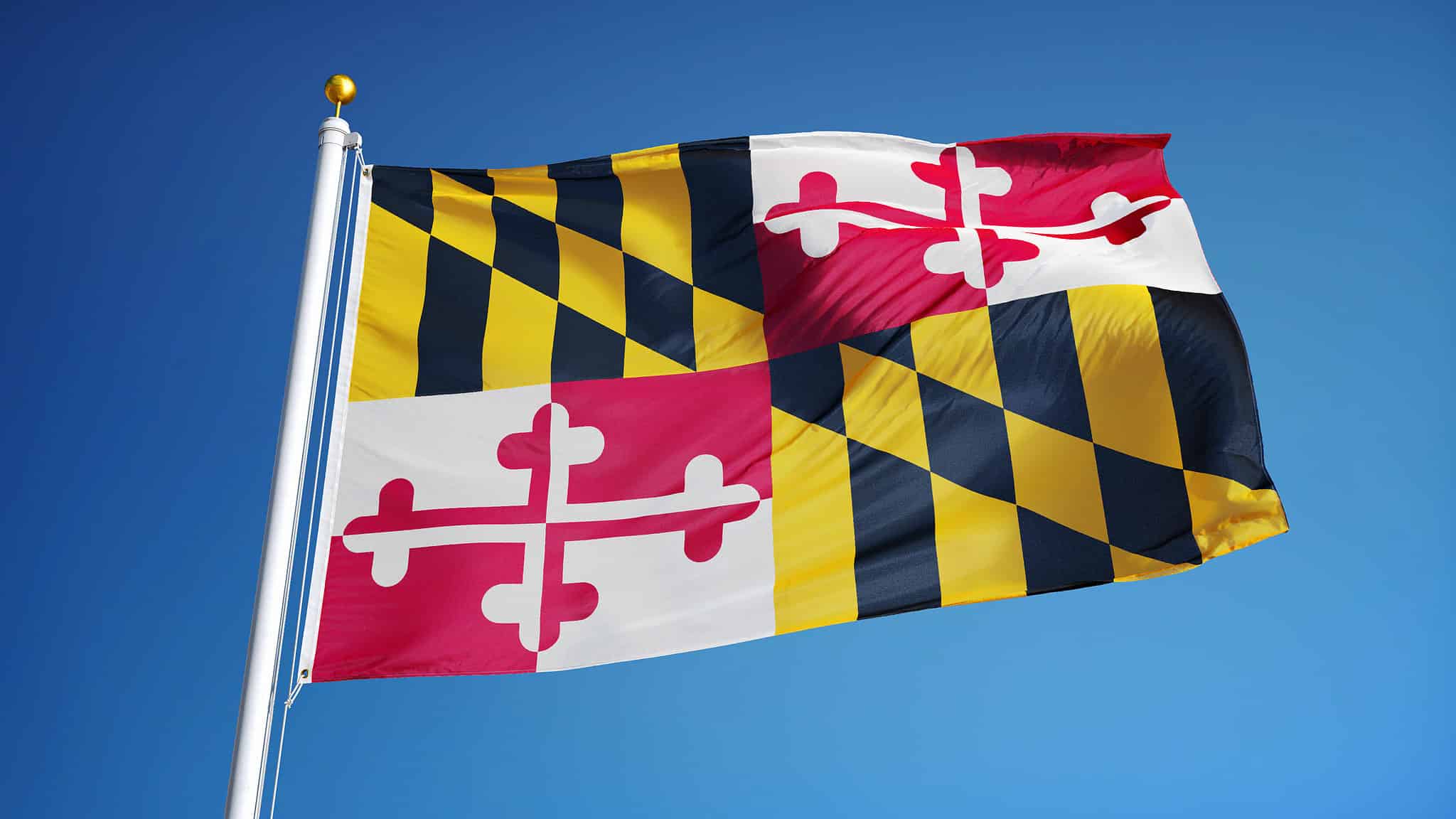 The Flag Of Maryland History Meaning And Symbolism A Z Animals