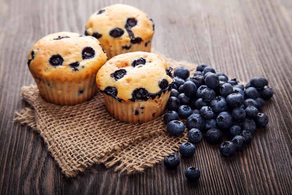 Center frame: Threemostly golden yellow with blue spots, blueberry muffins have been placed aesthetically on a  rectangular piece of loosely wove, taupe colored burlap that has been folded in half at a slight angle.To the right of the muffins is a pile of approximately 20 blueberries, partially on the burlap, and partially on the wooden table that takes up the background. 