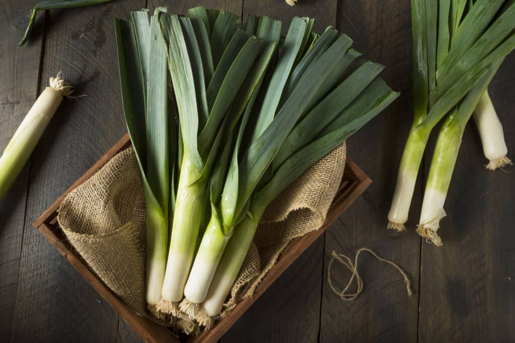 Fresh leeks in basket and burlap