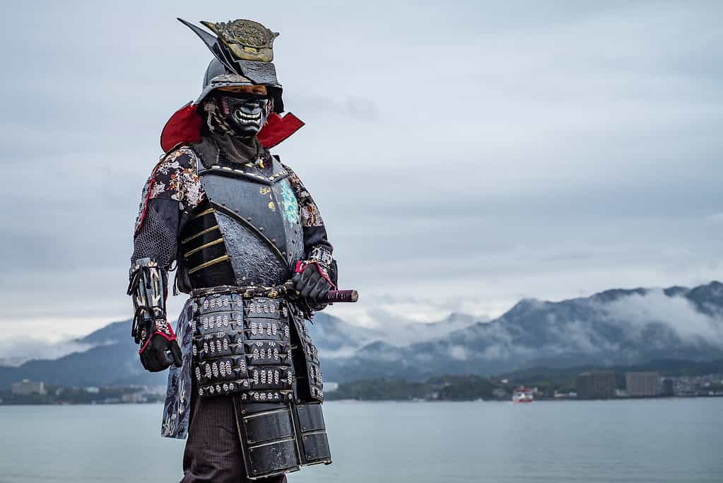 Samurai warrior with mountains and water in background