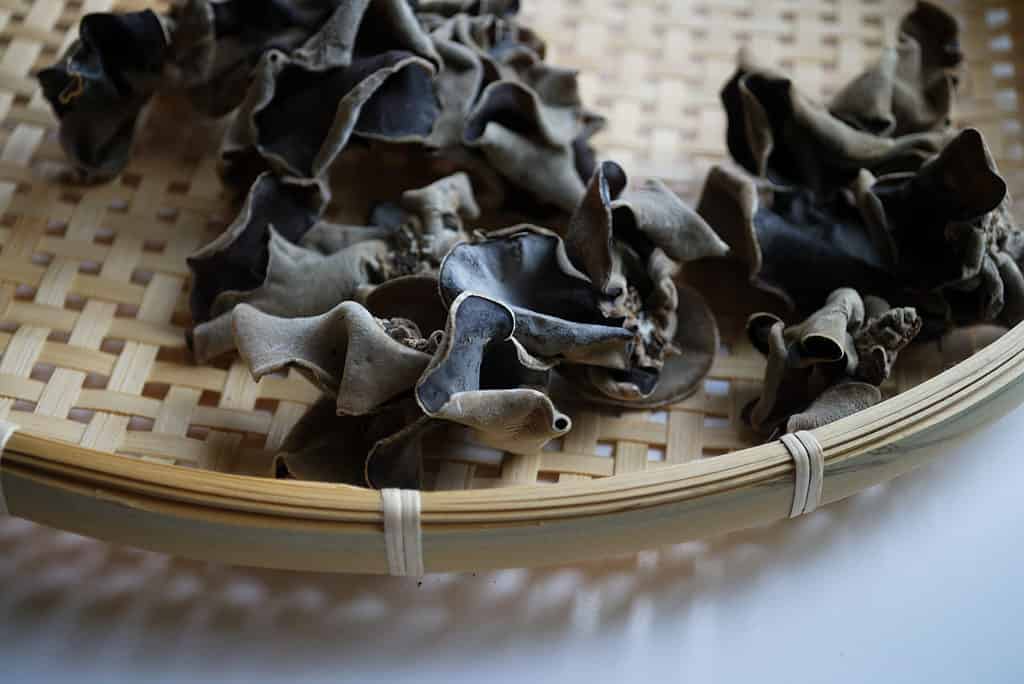 dried black wood ear mushrooms in a basket