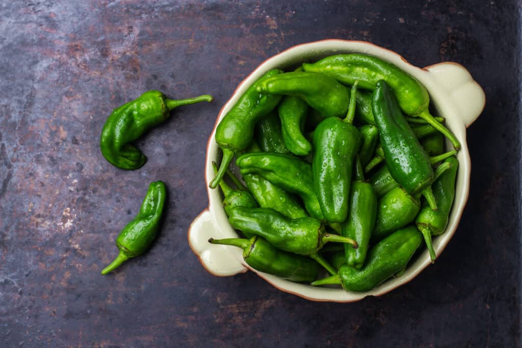 Bowl of whole green jalapeno peppers