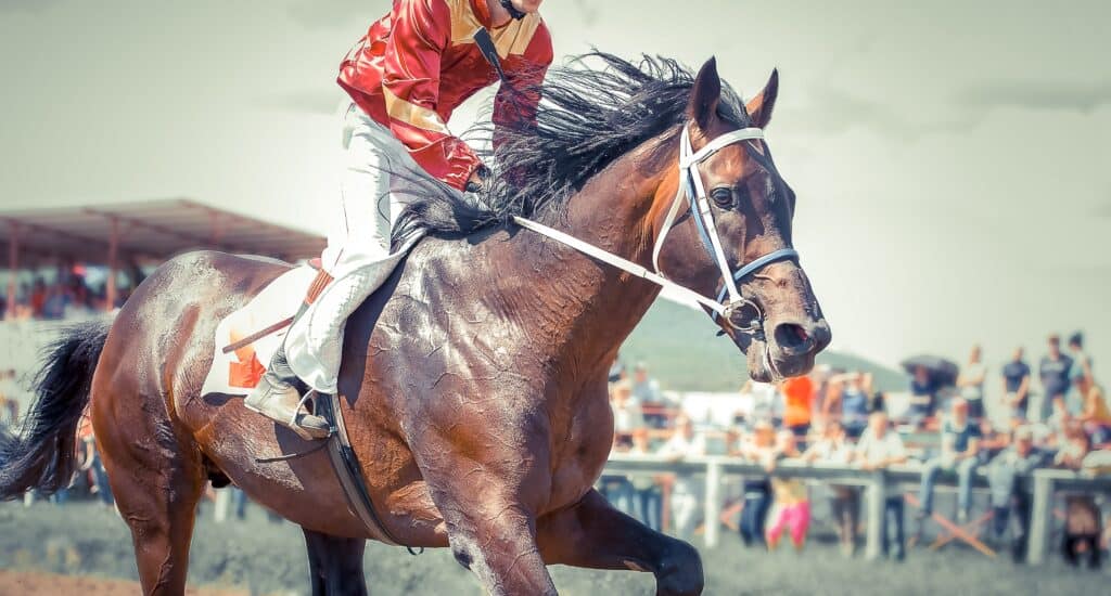 The Most Expensive Horse Ever Sold Is an American Thoroughbred