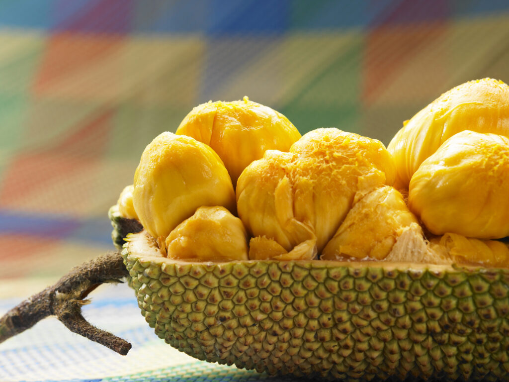 Cempedak (Artocarpus integer) fruit