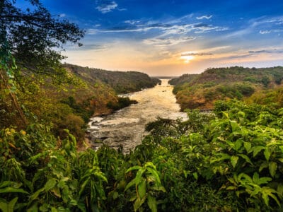 A Nile vs. Amazon: Which River Is More Dangerous?