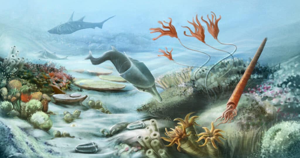 prehistoric underwater life in silurian period