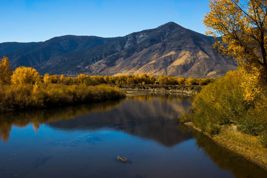 Fall colors reflection in Carson River, Nevada