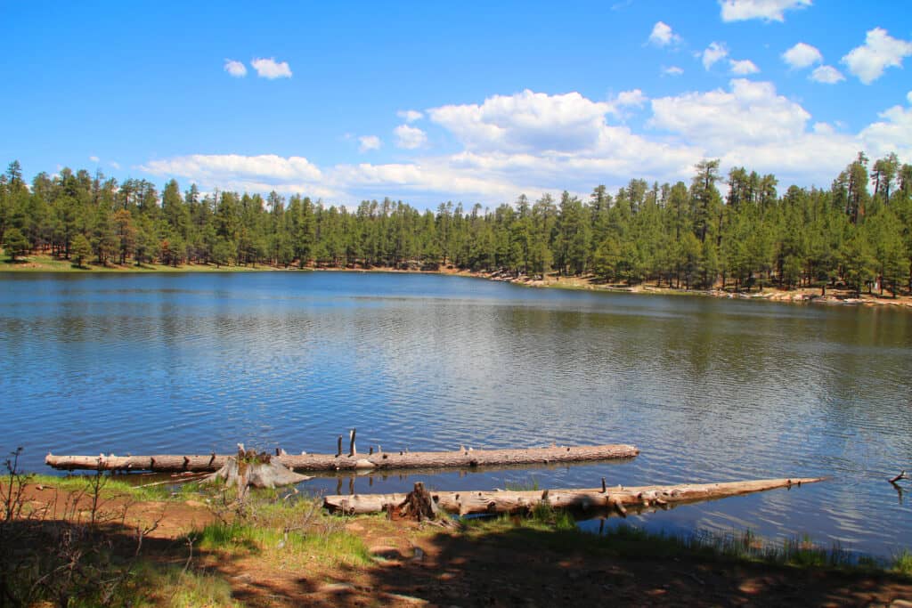 Canyon Lake Arizona