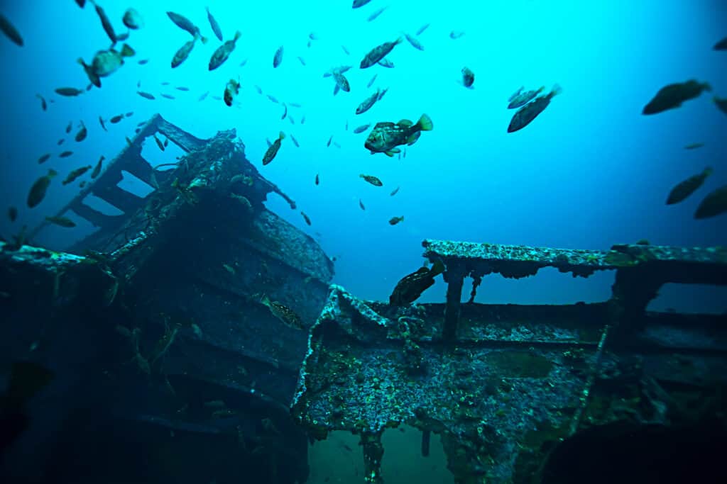 Close up of underwater shipwreck and the fish that call it home