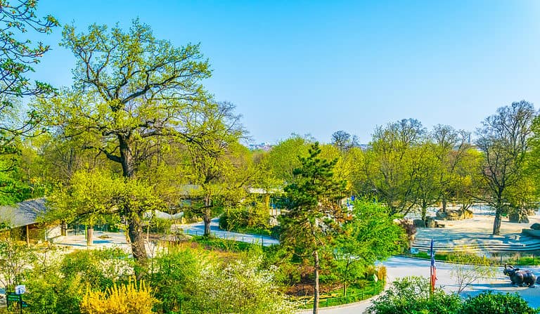 Aerial view of Schonbrunn tiergarten zoological garden in Vienna, Austria