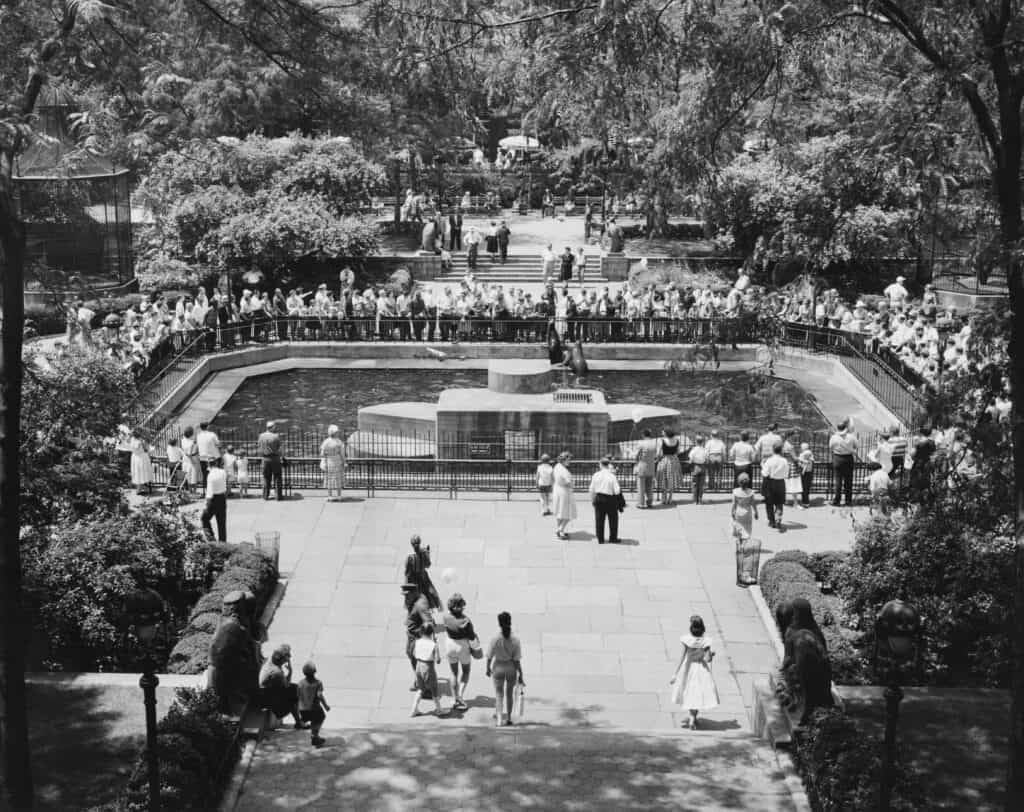 The seal pool at the Central Park Zoo, New York, NY