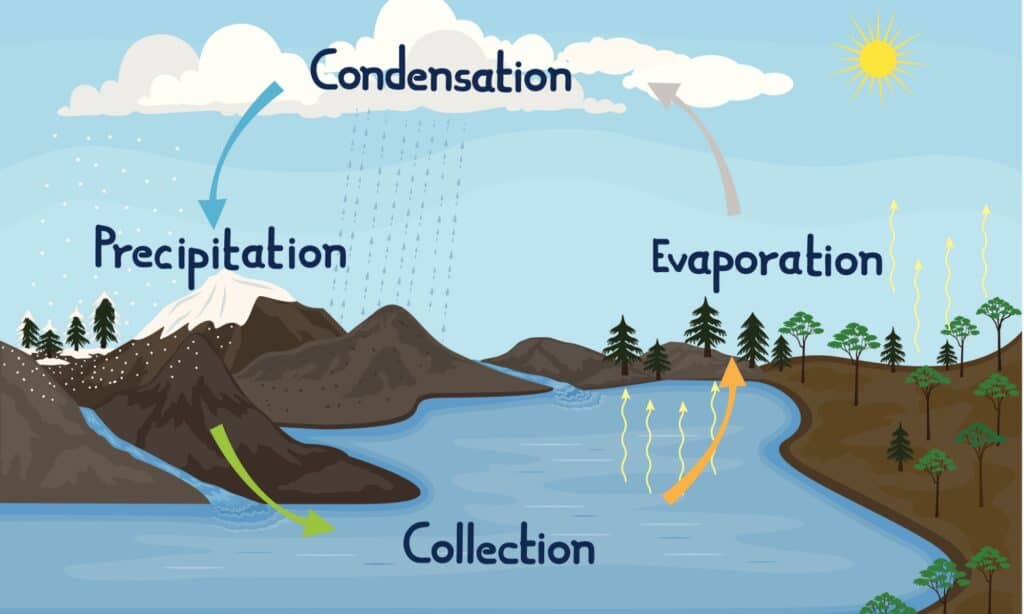 Water Cycle in nature stock illustration