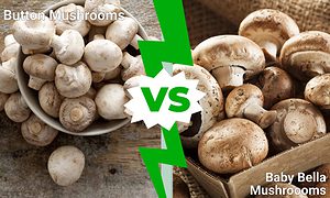 Button Mushrooms vs. Baby Bella Mushrooms Picture