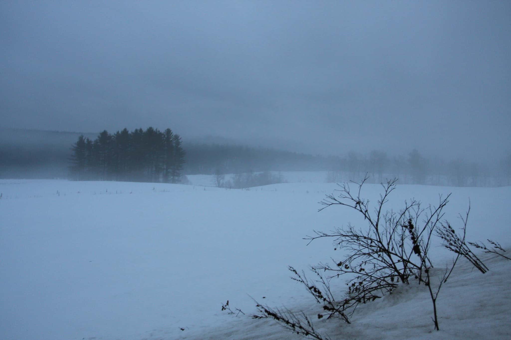 Discover The Snowiest Place In Vermont - A-Z Animals