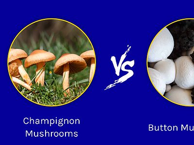 A Champignon Mushrooms vs. Button Mushrooms