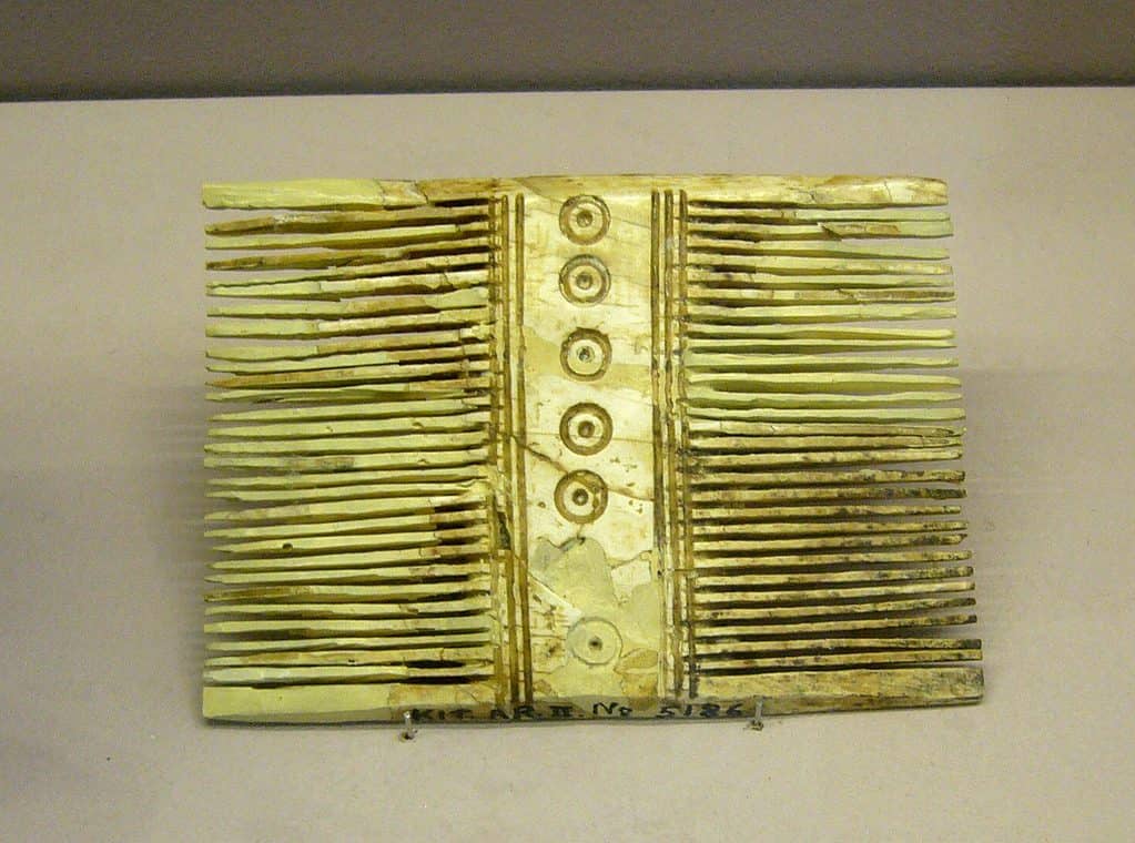 Ancient Lice Comb