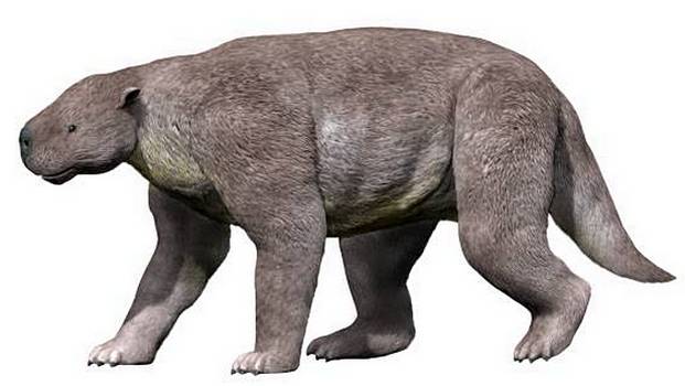 Barylambda faberi was built like a bear with a head like a groundhog