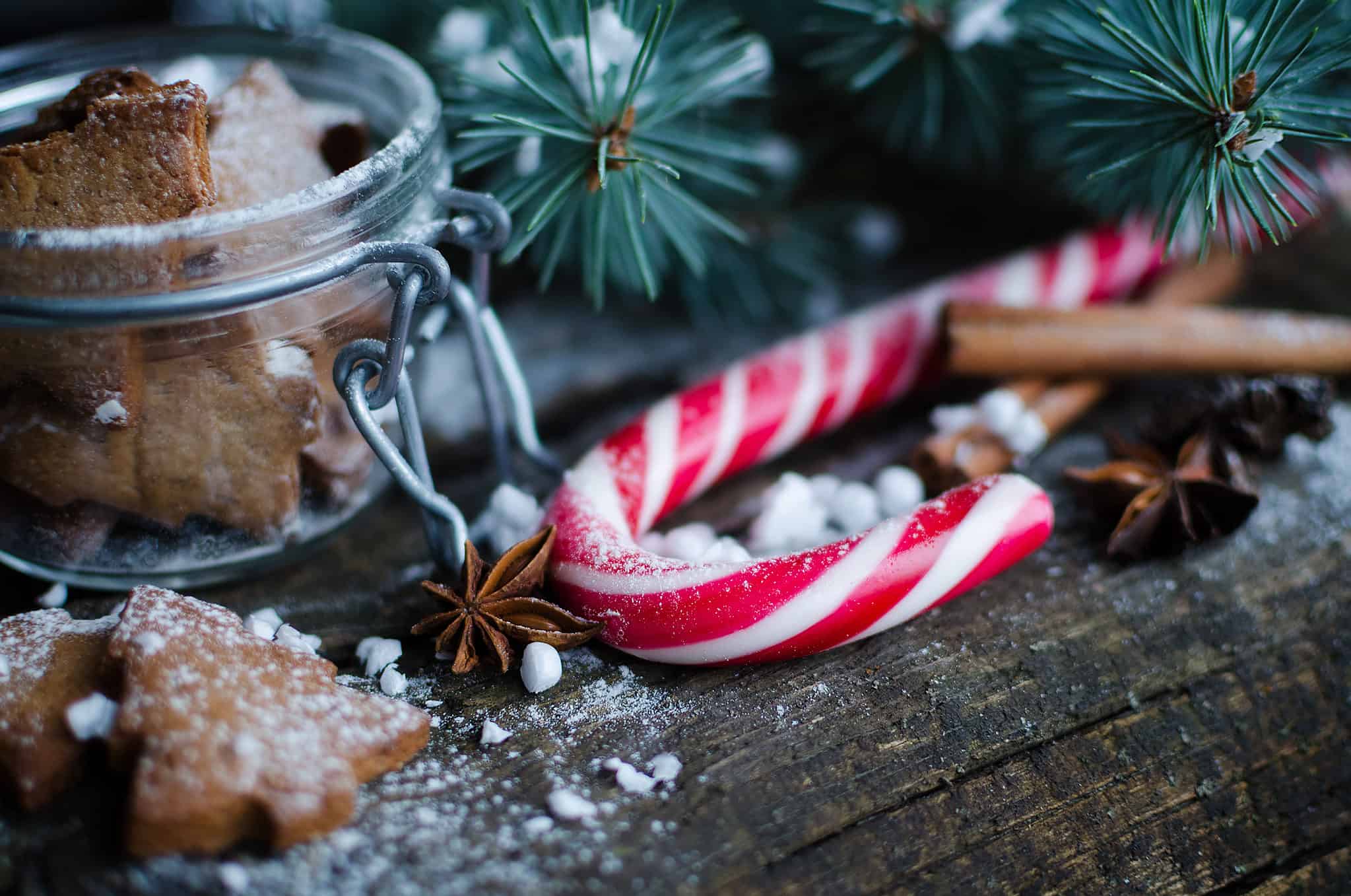 Can Dogs Eat Candy Canes AZ Animals