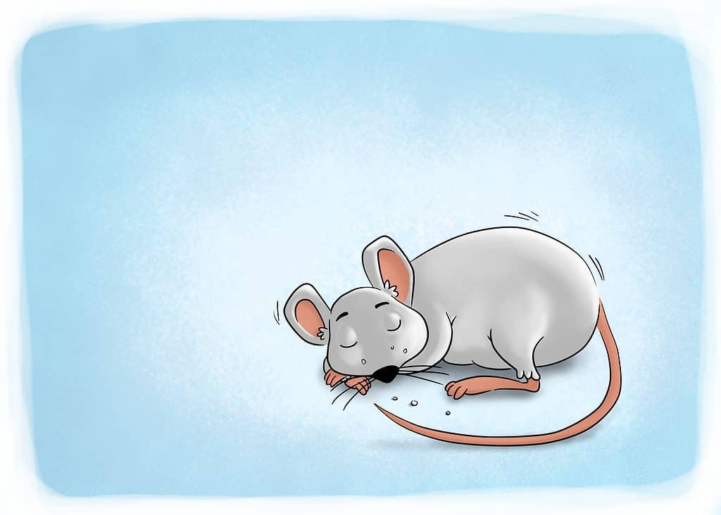 Cartoon Mouse Sleeping (Best Books About Mice)