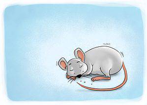 The Best Family-Friendly Books About Mice Picture