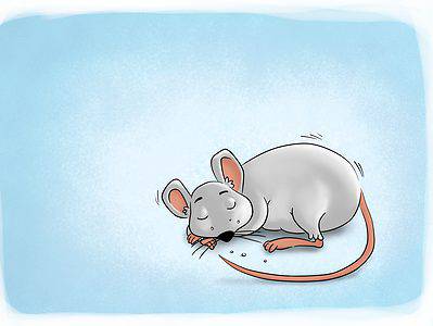 A The 6 Best Family-Friendly Books About Mice