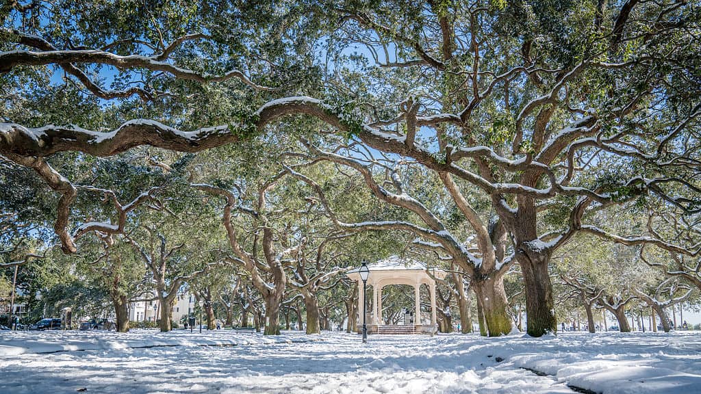 A Gzebo in Charleston, South Carolina, During Winter