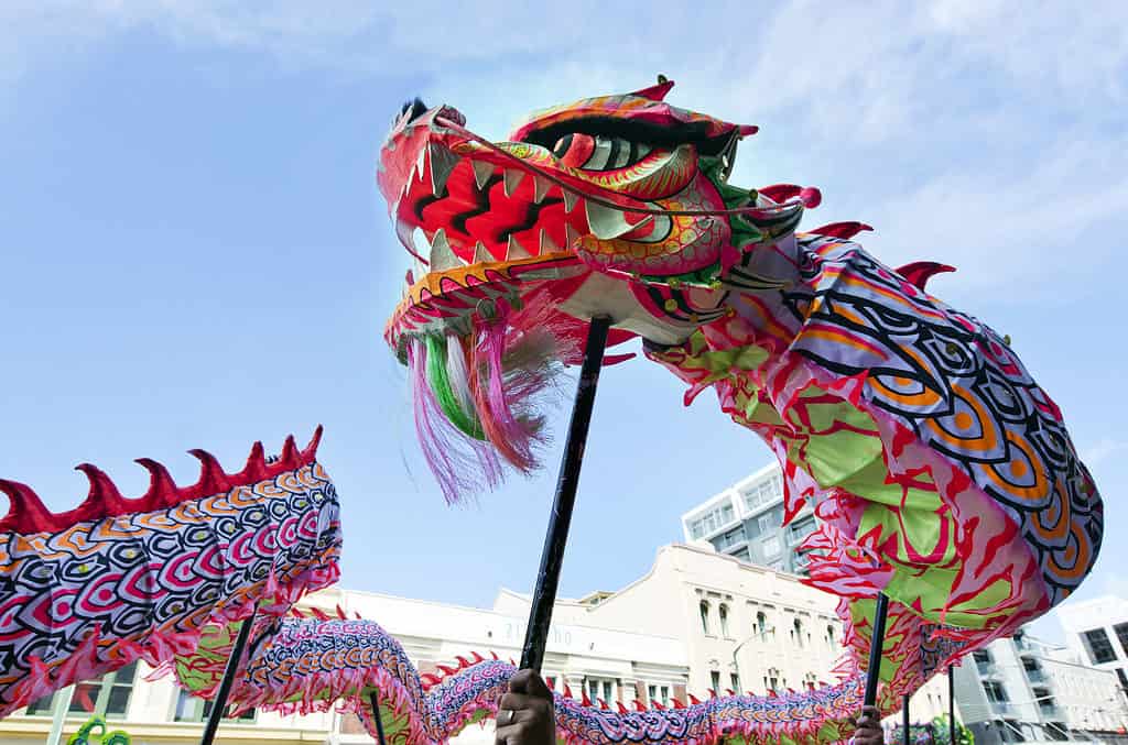Chinese Mythology Dragon