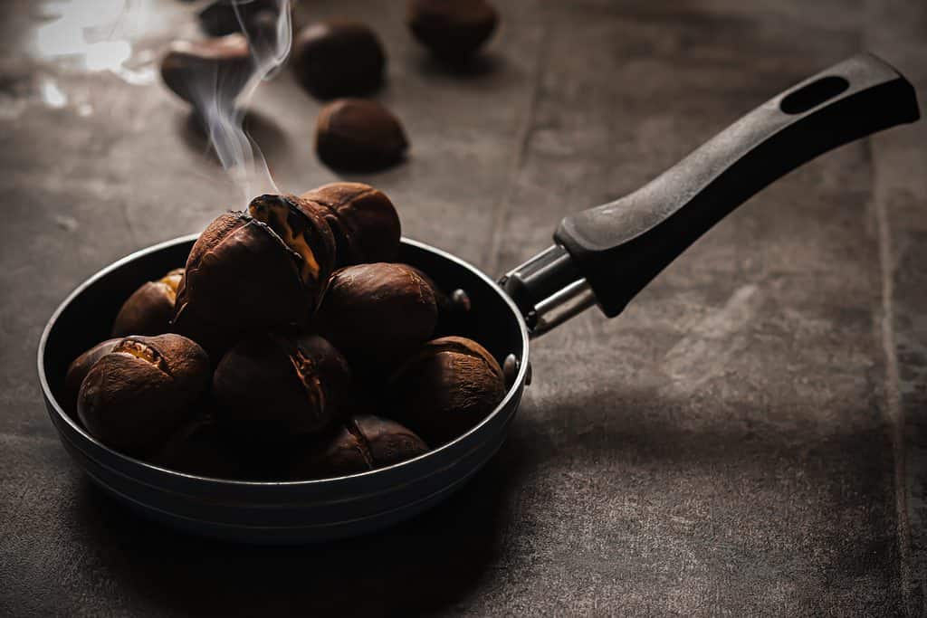 are chestnuts safe for dogs