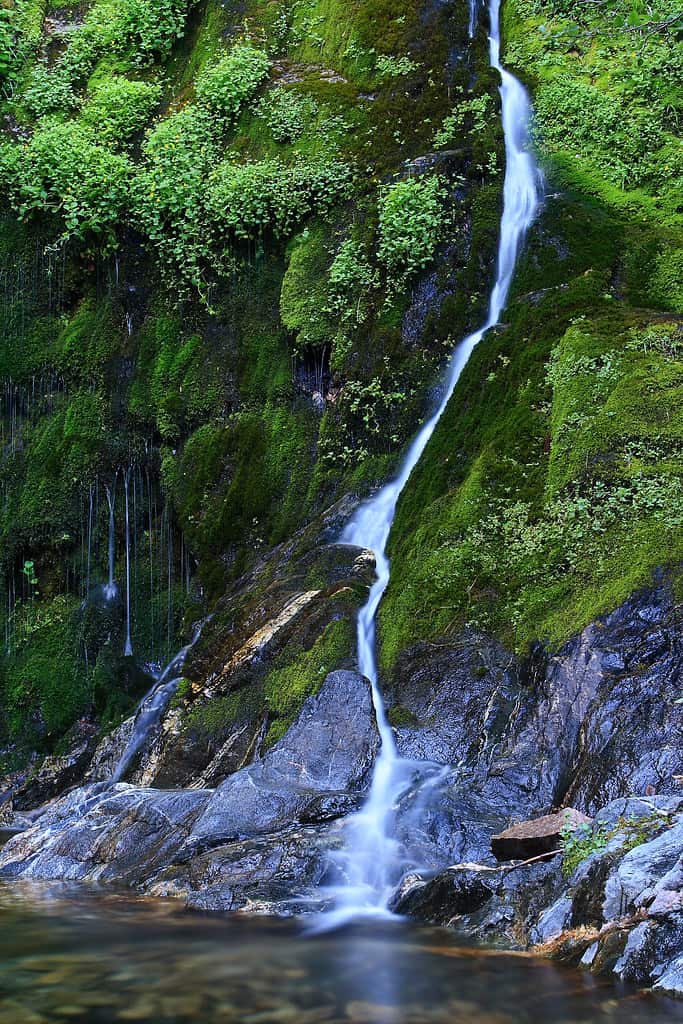 Cooper Canyon Falls in Los Angeles - Swimming Holes Near Los Angeles