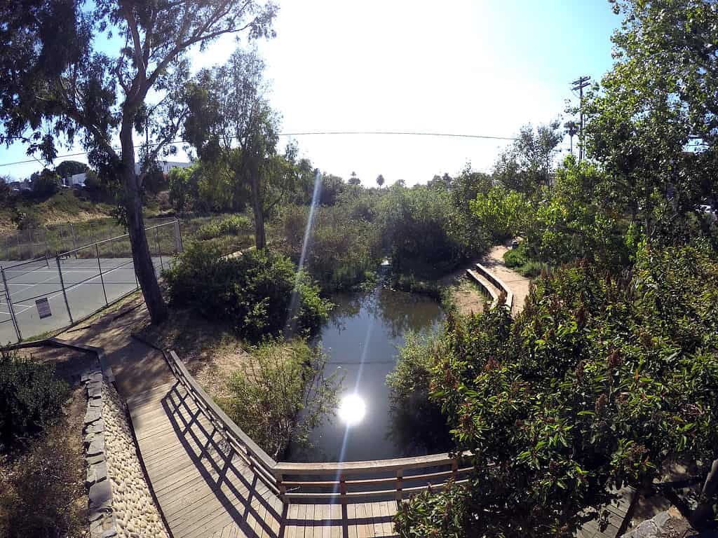 Cottonwood Creek in Encinitas, California, near San Diego - Swimming Holes Near San Diego