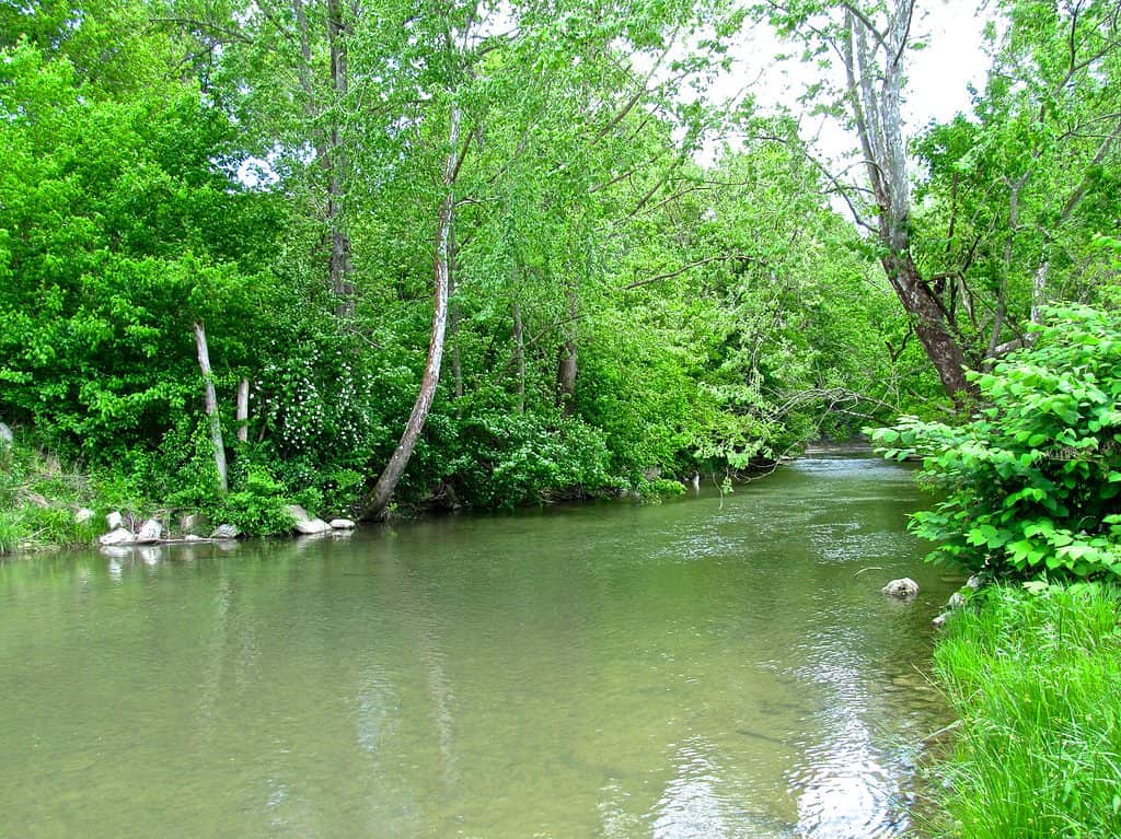 Dix River in Kentucky