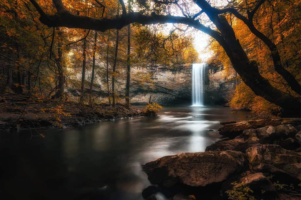 Foster Falls in Sequatchie, Tennessee, Tennessee Swimming Holes