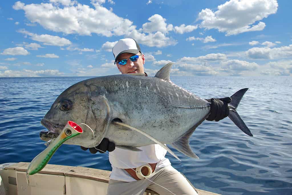 How To Catch Fish, Giant Trevally