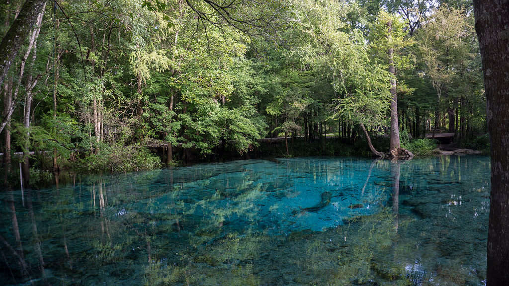 2. Ginnie Springs