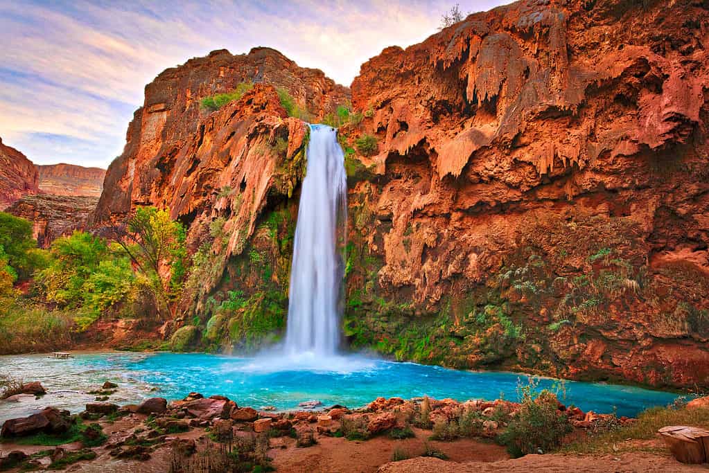 Havasu Falls, Arizona Swimming Holes
