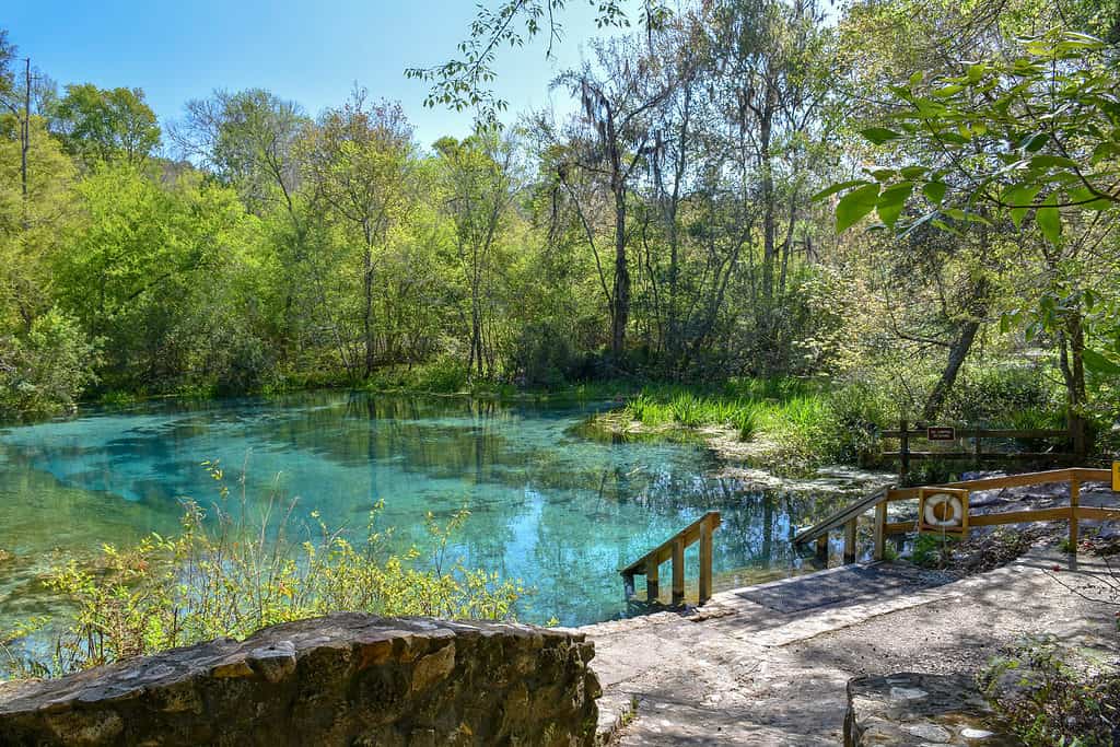 5. Ichetucknee Springs