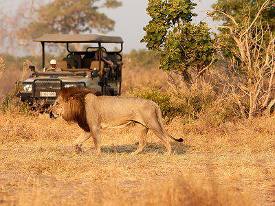 A 6 Beautiful National Parks in Zimbabwe