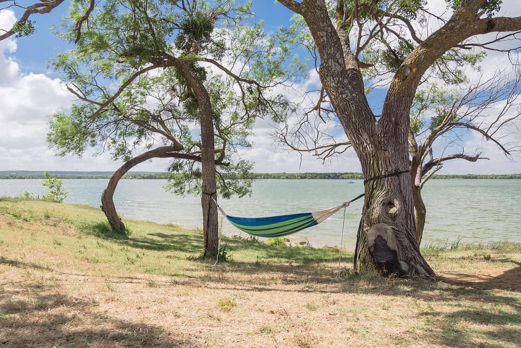 A scenic view of Lake Bruin in Louisiana.