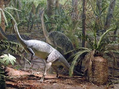 A 4 Dinosaurs That Lived in Massachusetts (And Where to See Fossils Today)
