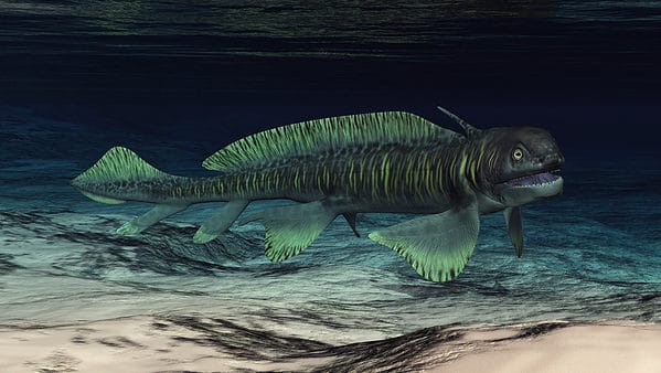 Discover an Ancient Shark That Looked Like an Eel And Lived in The
