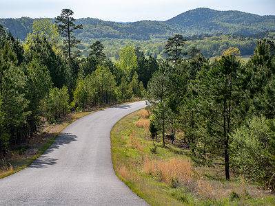 A The 10 Most Stunningly Scenic Drives in Arkansas