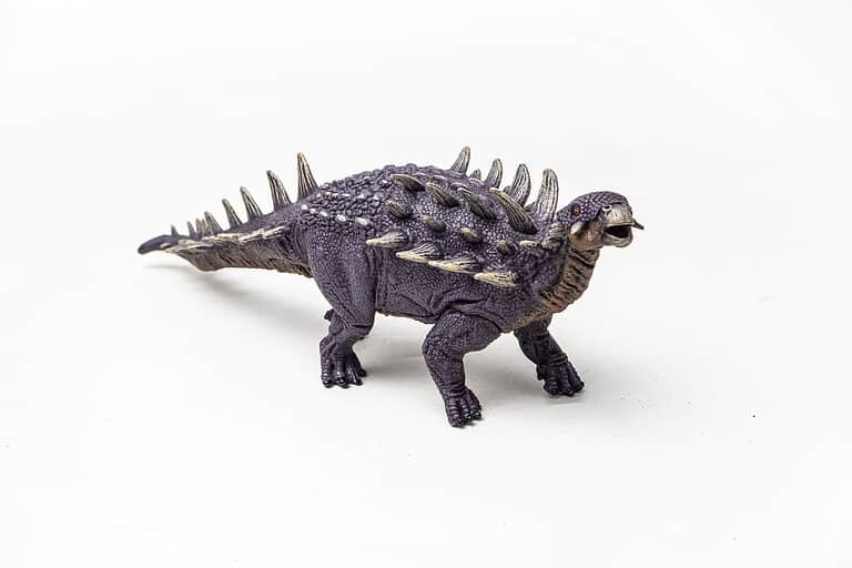 Polacanthus