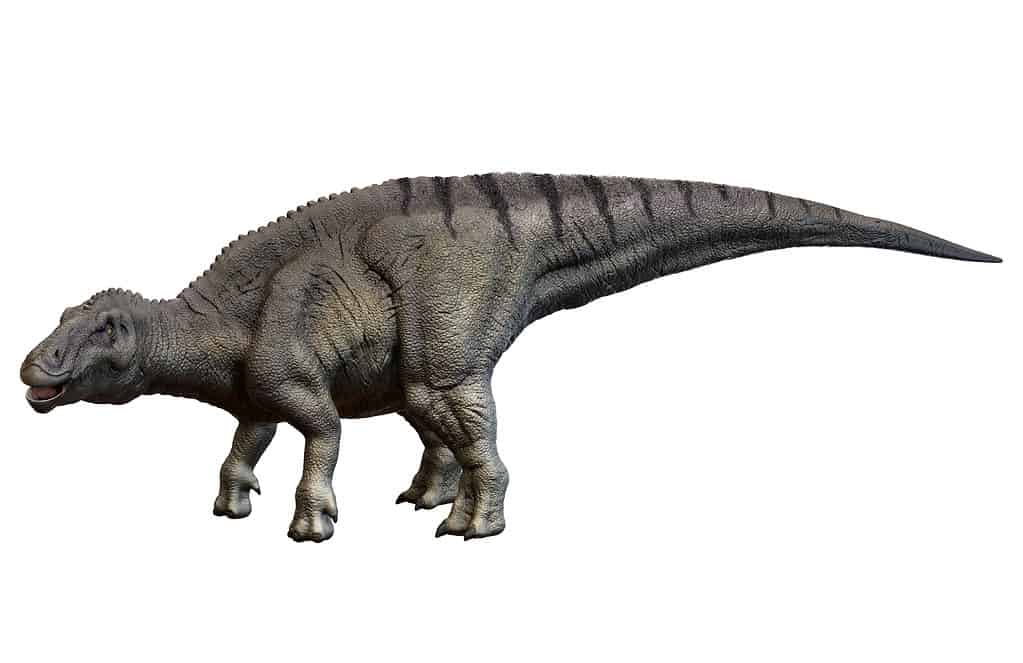 Shantungosaurus