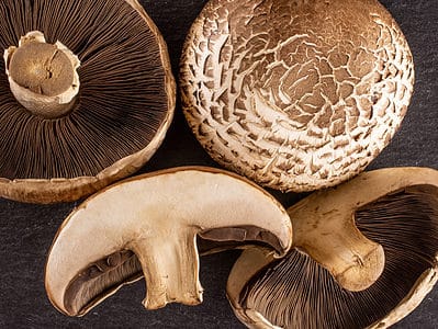 A Button Mushrooms vs. Portobello Mushrooms