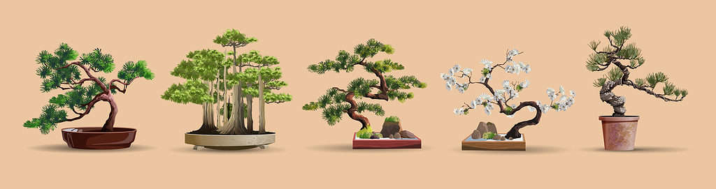 History and Origin of Bonsai Trees