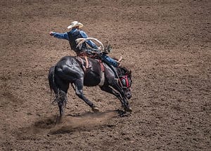 Discover ‘Midnight’ – The Largest Bucking Horse in Rodeo History Picture